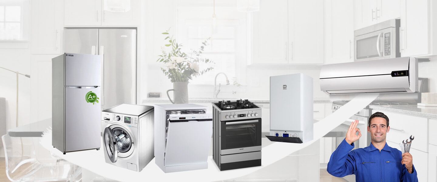 Küçükyalı Smeg Servisi